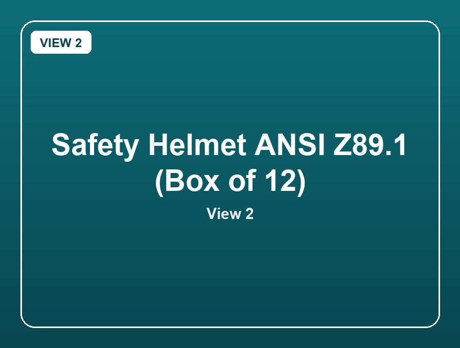 Safety Helmet ANSI Z89.1 (Box of 12) view 2