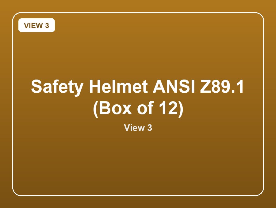 Safety Helmet ANSI Z89.1 (Box of 12) view 3