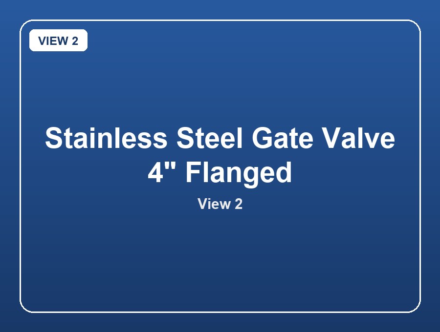 Stainless Steel Gate Valve 4" Flanged view 2