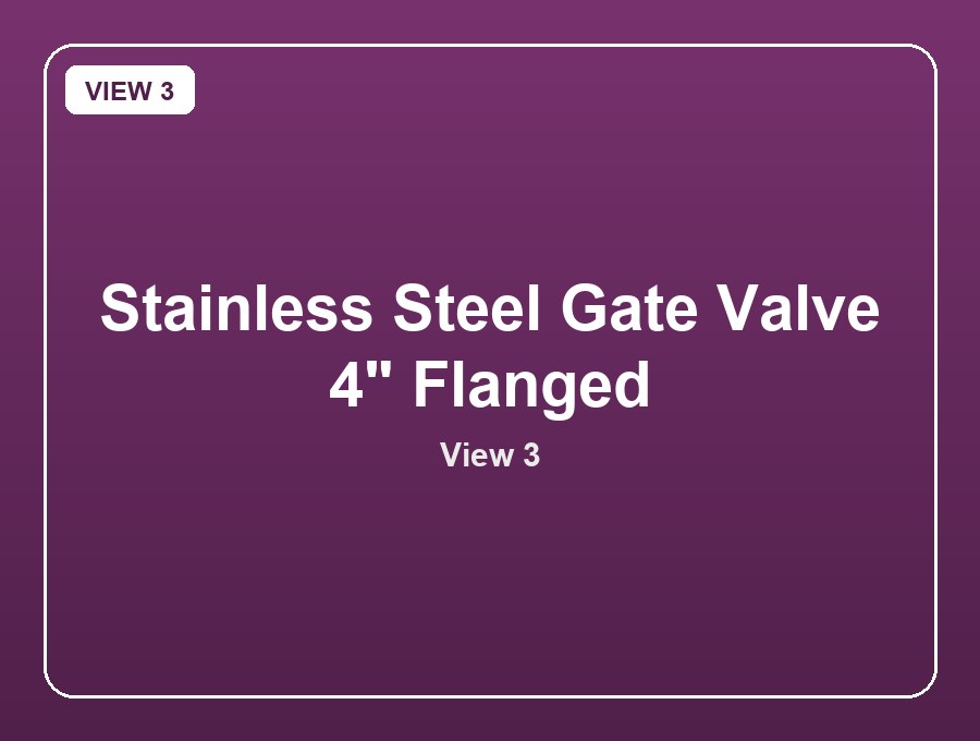 Stainless Steel Gate Valve 4" Flanged view 3